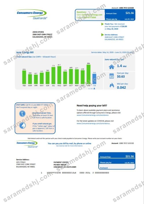 USA Michigan Consumers Energy utility bill template in Word and PDF format